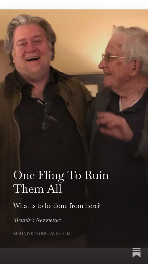 Short Opinion Piece On The Recent Chomsky-Bannon Revelations